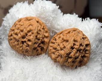Mini White Lion Wenwan Walnut Pair | Chinese Hand Exercise Balls Pair#115