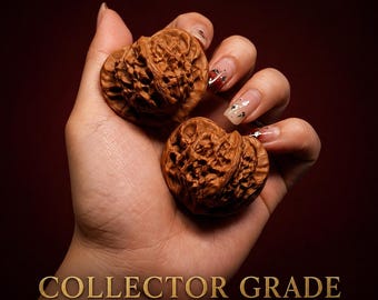 Juego de bolas Baoding de nogal natural de calidad de coleccionista / Bolas antiestrés para ejercicios de manos chinos / Herramienta de meditación
