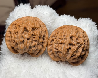 Apple Orchard Wenwan Walnut Pair | Chinese Hand Exercise Balls Pair#111