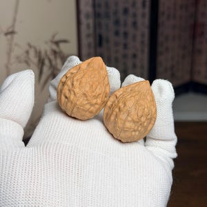 May include: Two light brown, textured walnuts with a distinct pointed shape. The shells feature a complex, deep network of ridges and grooves across their surfaces, showcasing a natural, organic appearance with a matte finish and light tan coloration.