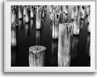 May include: Black and white framed photograph of weathered wooden posts rising from dark water. The image captures the textures of the wood and the reflections in the water, creating a serene and minimalist landscape. The artwork is presented in a white frame.