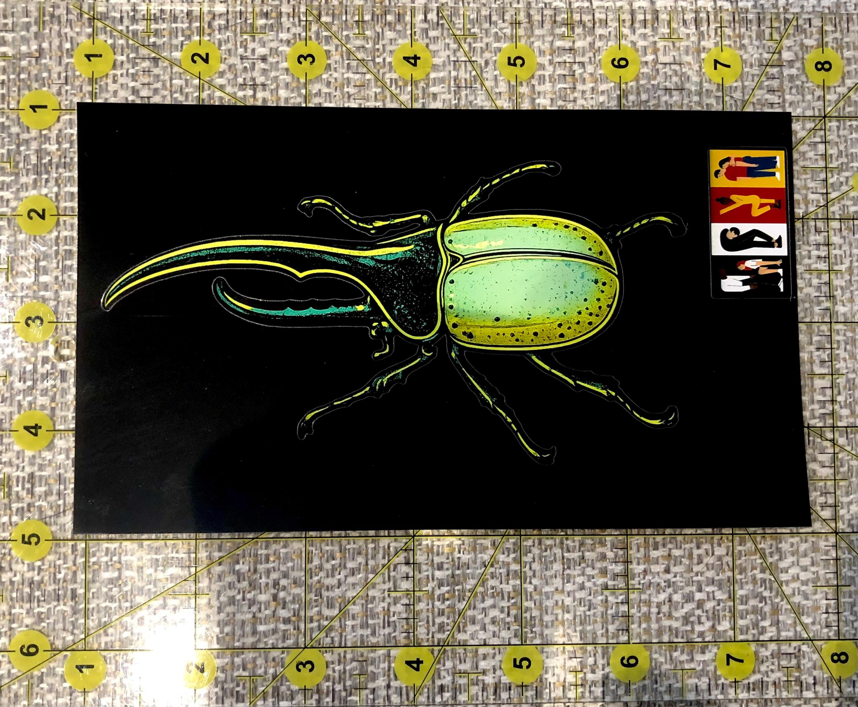 Dynastes hercules - Etsy 日本