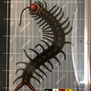 Può includere: Illustrazione dettagliata di un millepiedi con un corpo marrone segmentato, numerose zampe e una testa e una coda rosse. L'opera d'arte è su una superficie trasparente con un righello e la parola "FISKARS" visibile. L'immagine include anche una piccola grafica di persone.