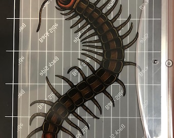 Realistic Centipede Sticker • Dark Entomology Art, Creepy Bug Decal