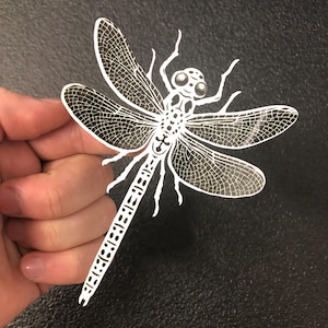 May include: A white paper dragonfly cut-out with intricate wing detailing and a segmented body. The dragonfly's wings are partially filled with a delicate, web-like pattern. The insect's head features large, round eyes and antennae.