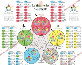 French Five Elements Theory La Théorie des Cinq Éléments 60 Shu Command Points Acupuncture Poster 18 X 24 Chart Laminated or Paper Français