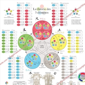 French Five 5 Elements Acupuncture Poster 20" X 30" or 24" X 36" Cinq Éléments et points D’acupuncture Command Points Laminated or Paper