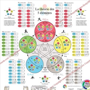 Teoría francesa de los cinco elementos La Théorie des Cinq Éléments 60 puntos de comando Shu Póster de acupuntura Gráfico de 18 x 24 Laminado o papel Français