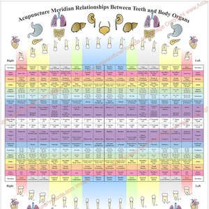 Acupuncture Meridian Relationships Between Teeth and Body Organs Dental Poster 18" X 24", 20" X 30" & 24" X 36" Chart. Paper, Laminated.