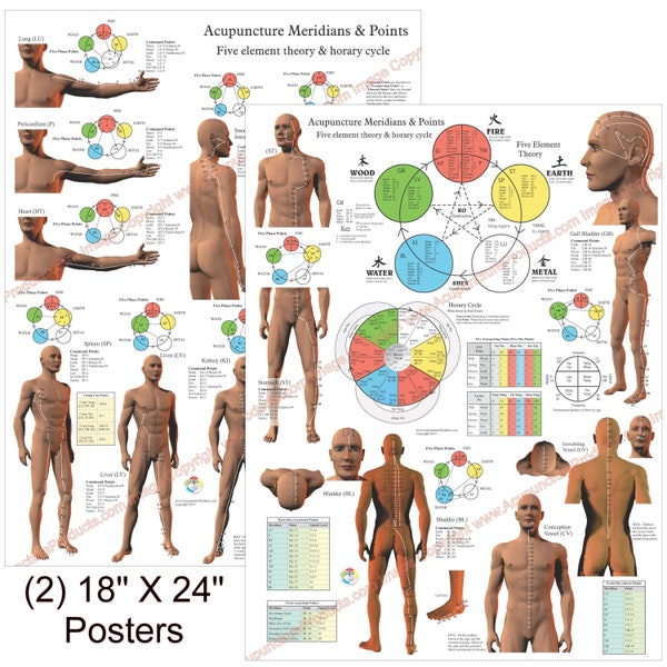 2 Chinese Acupuncture Meridian Points and Pathways Poster 18" X 24" Chart Set Five Elements Paper or Laminated