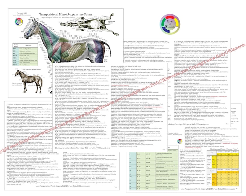 Op de afbeelding: Een gedetailleerde kaart met illustraties van acupunctuurpunten voor paarden, met gelabelde diagrammen van een paard vanuit meerdere hoeken. De kaart bevat tekst en een kleurensysteem om specifieke punten te identificeren. Het Body of Elements-logo is zichtbaar.