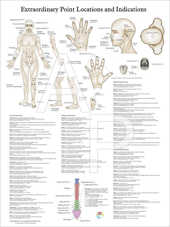 Acupuncture Points Chart