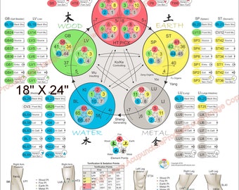 Five Elements Theory 60 Shu Command Points Acupuncture Poster 18" X 24" Chart Laminated or Paper