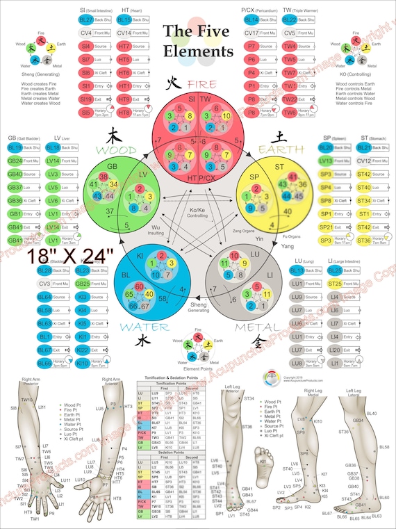 Vijf elementen theoriepunten Acupunctuur Poster 18 X - Etsy Nederland