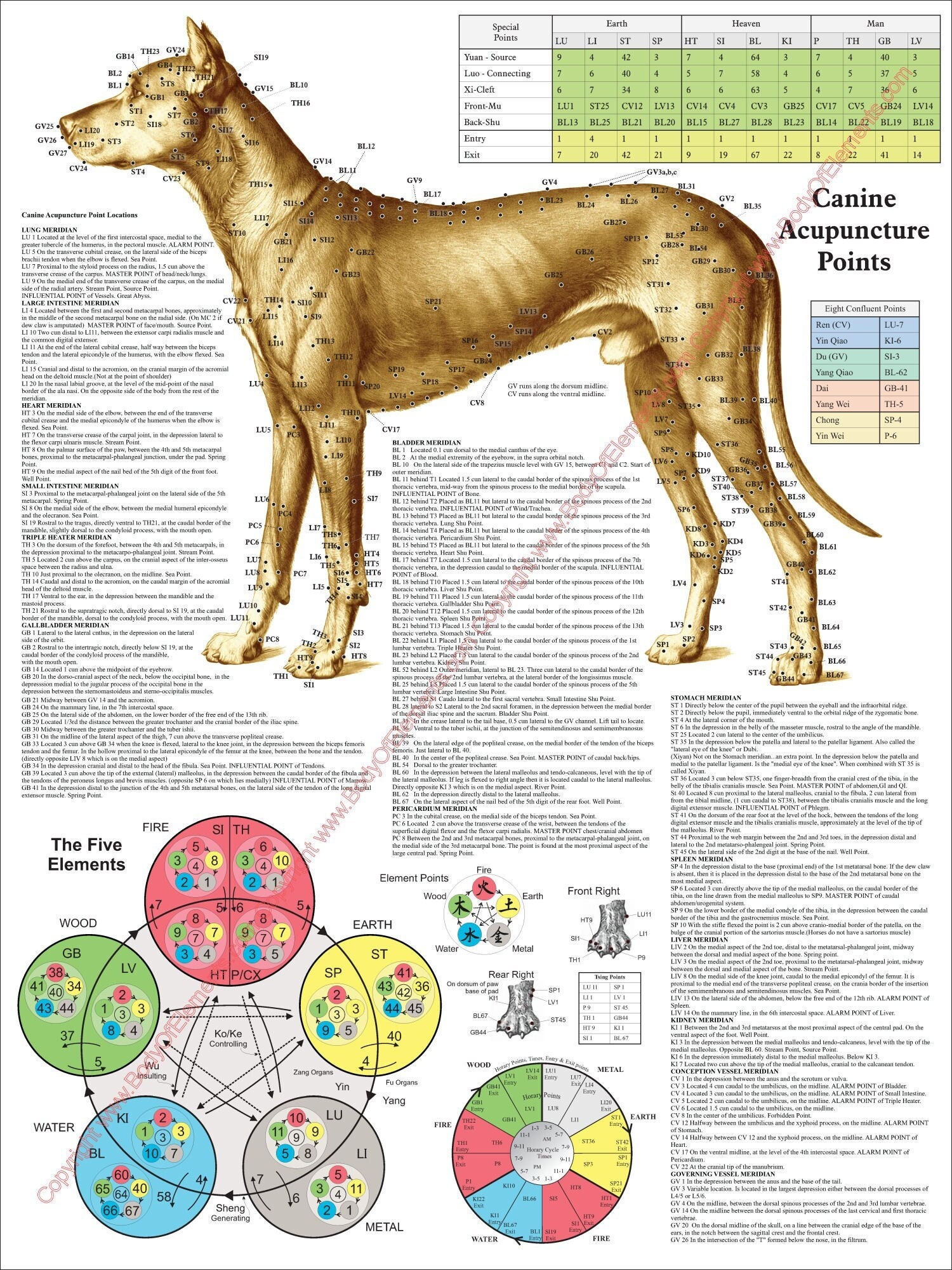 Cartaz de localização de pontos de acupuntura canina para cães 18 X 24  Gráfico veterinário laminado ou papel - Etsy Portugal