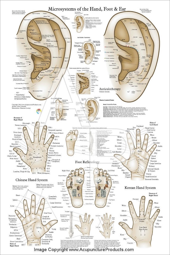 Chinese Hand Acupuncture Charts