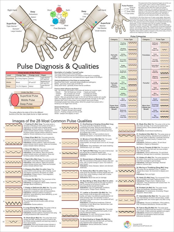 Tcm Pulse Diagnosis Chart