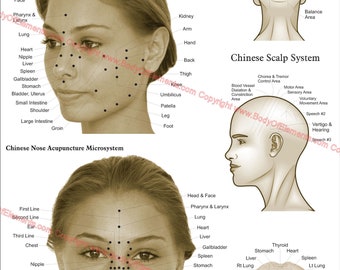 Microsystems of the Face & Head Scalp Acupuncture Chart Poster 18" X 24" Laminated or Paper