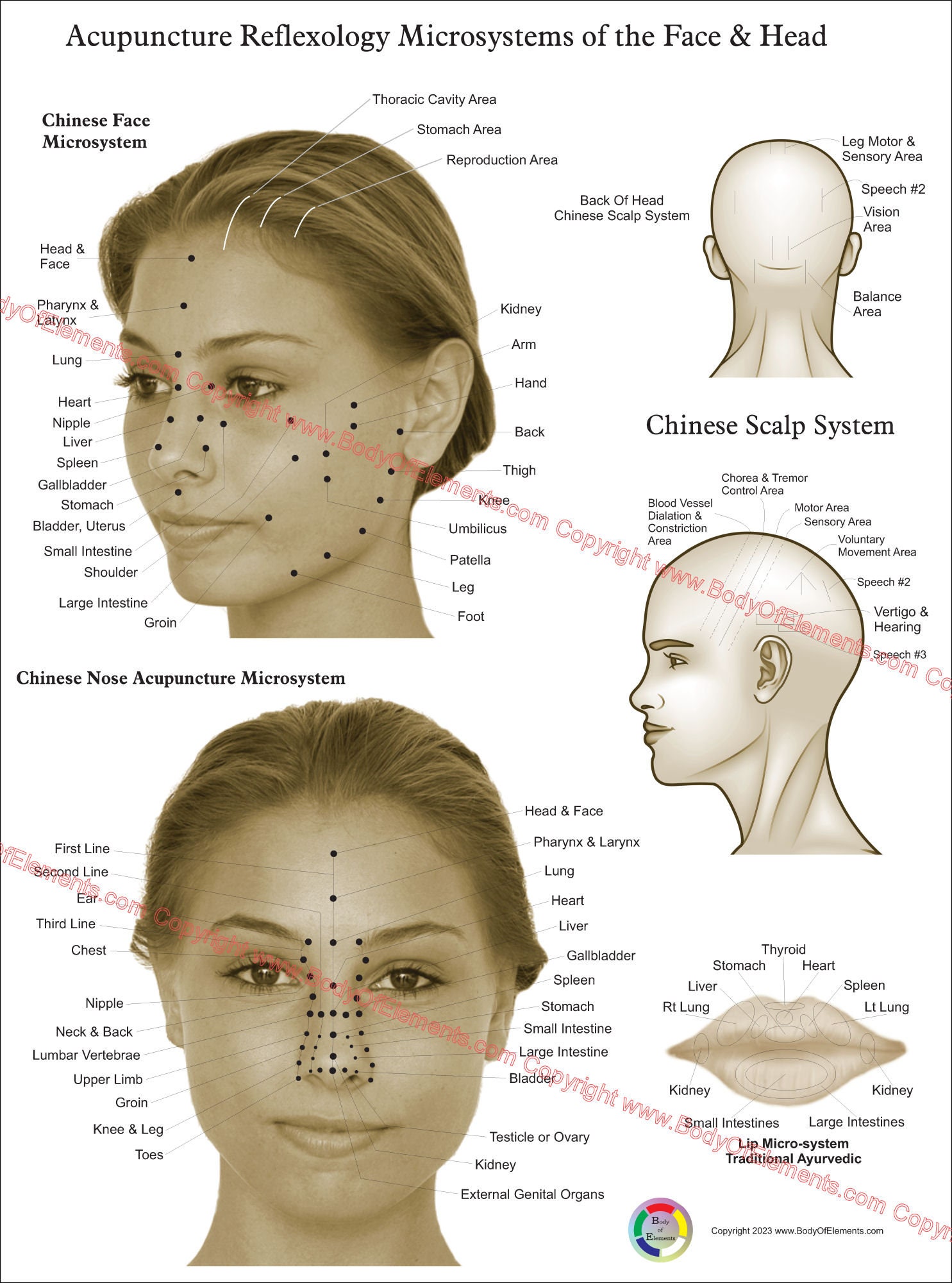 face acupressure points chart