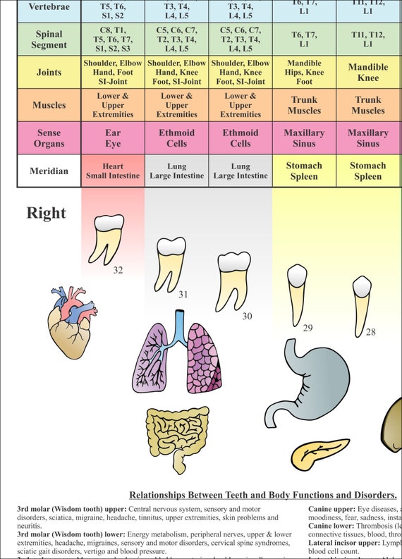 Dental Acupuncture Chart