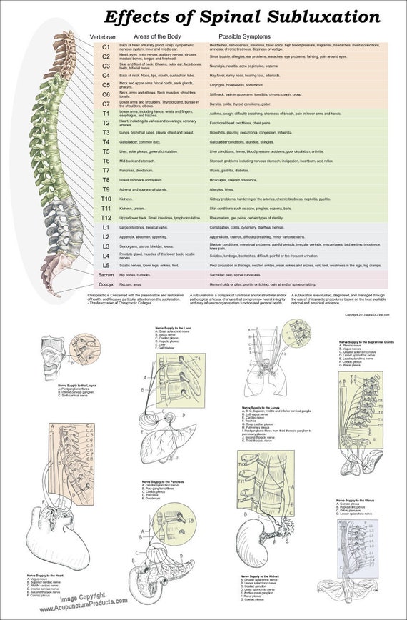 Effects Symptoms Vertebral Spinal Subluxation Poster 18 X 24 Chiropractic Chart