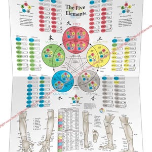 Applied Kinesiology Flowchart Manual – Castello Editore Sas