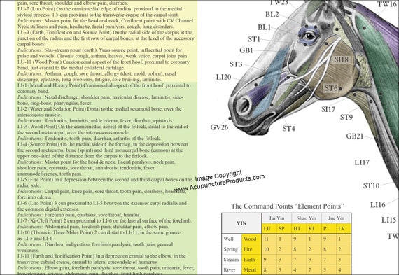 Free Equine Acupuncture Chart