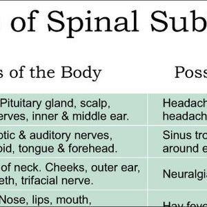 ANS & Effects of Spinal Subluxation Poster 18 X 24 Chiropractic Autonomic Nervous System Chart English, Spanish, French Laminated or Paper image 2