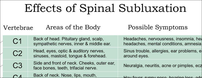 ANS & Effects of Spinal Subluxation Poster 18 X 24 Chiropractic Autonomic Nervous System Chart English, Spanish, French Laminated or Paper image 2