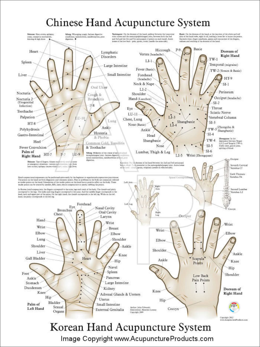 Chinese & Korean Hand Therapy Hand Acupuncture Poster 18 - Etsy.de