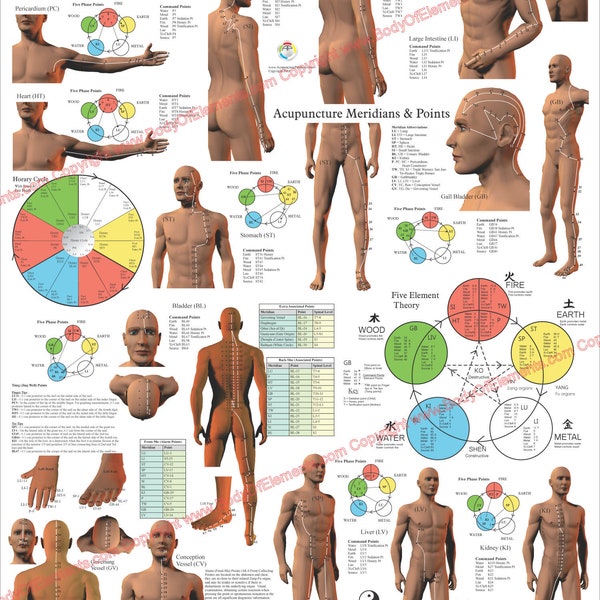 Acupuncture Meridian Points and Pathways Poster 18" X 24" TCM Wall Chart Paper or Laminated