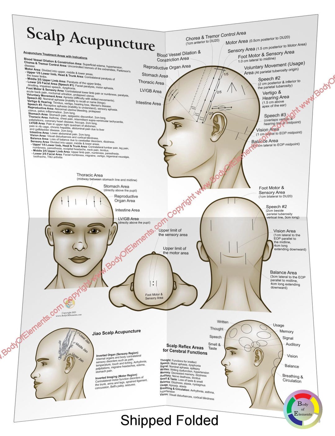 Scalp Acupuncture Points Areas Poster 18" X 24" Chinese Medicine TCM