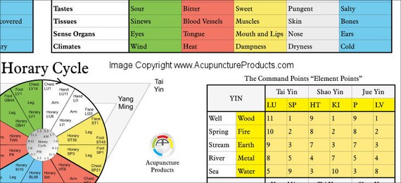 Five Elements Acupuncture Chart