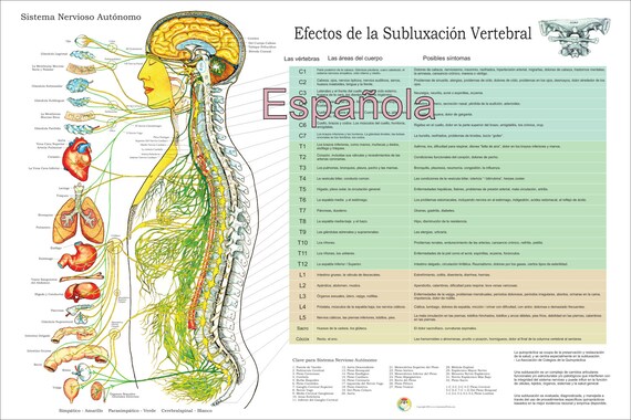 Effects Of Spinal Subluxation Chart