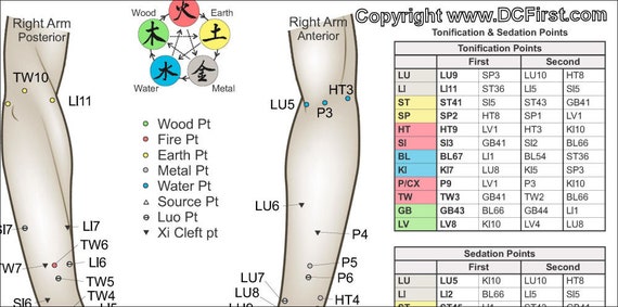 Applied Kinesiology Wall Chart