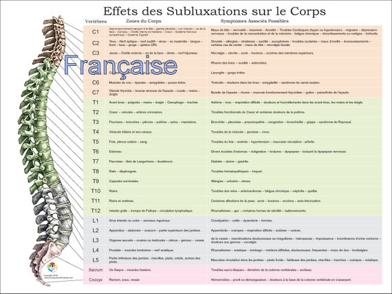 Vertebral Subluxation And Nerve Chart