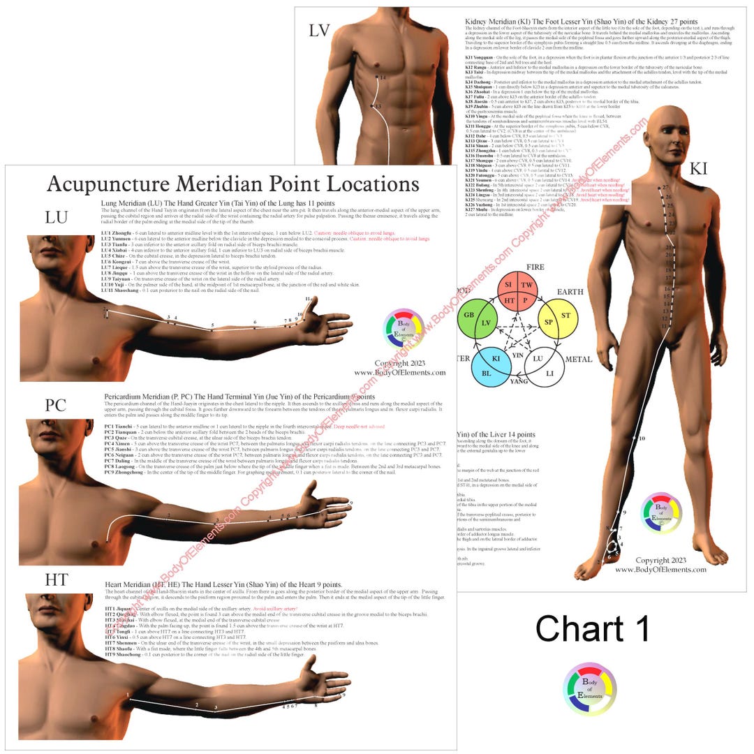 Acupuncture Meridian Pathways Point Location Reference Charts 8.5