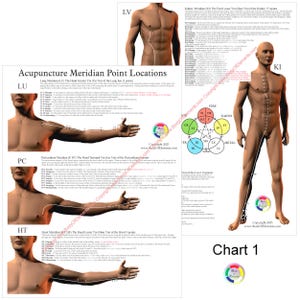 May include: Anatomy charts with illustrations of the human body, including diagrams of acupuncture meridian points and internal organs. The charts feature detailed anatomical drawings and text, with the text "Acupuncture Meridian Point Locations" and "Chart 1".