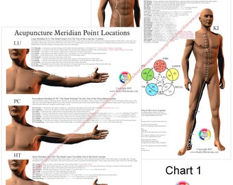 Acupuncture Meridian Pathways Point Location Reference Charts 8.5" X 11" Student Study Chart Set Traditional Chinese Medicine
