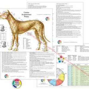 May include: A collection of printed documents related to canine acupuncture. The central image is a detailed illustration of a dog, labeled with acupuncture points. Additional pages include charts, diagrams, and text, all focused on veterinary acupuncture practices.