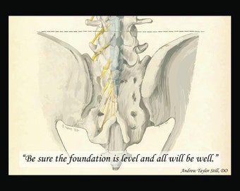 Osteopathic Sacrum Foundation Spine Quote Poster 18" X 24" Chiropractic Chart Paper or Laminated