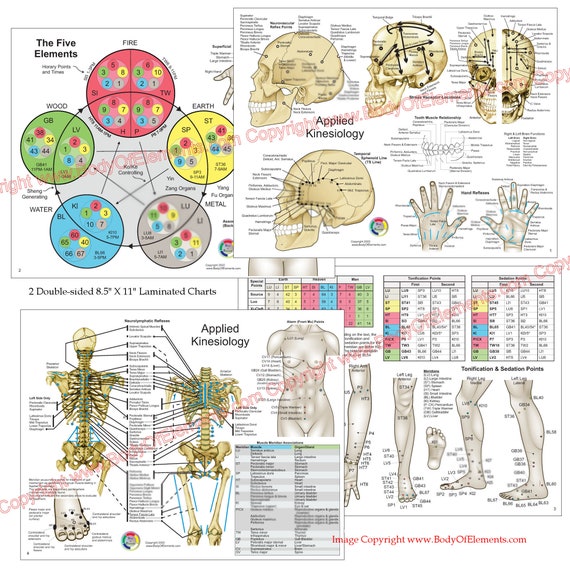 Meridian System.pdf Meridian Wellness Charts Meridians & The Five Elements Chart