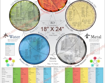 Five Elements Theory Acupuncture Poster 18" X 24" Traditional Chinese Medicine Chart Laminated or Paper