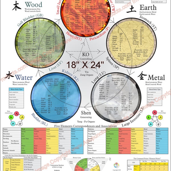 Five Elements Theory Acupuncture Poster 18" X 24" Traditional Chinese Medicine Chart Laminated or Paper