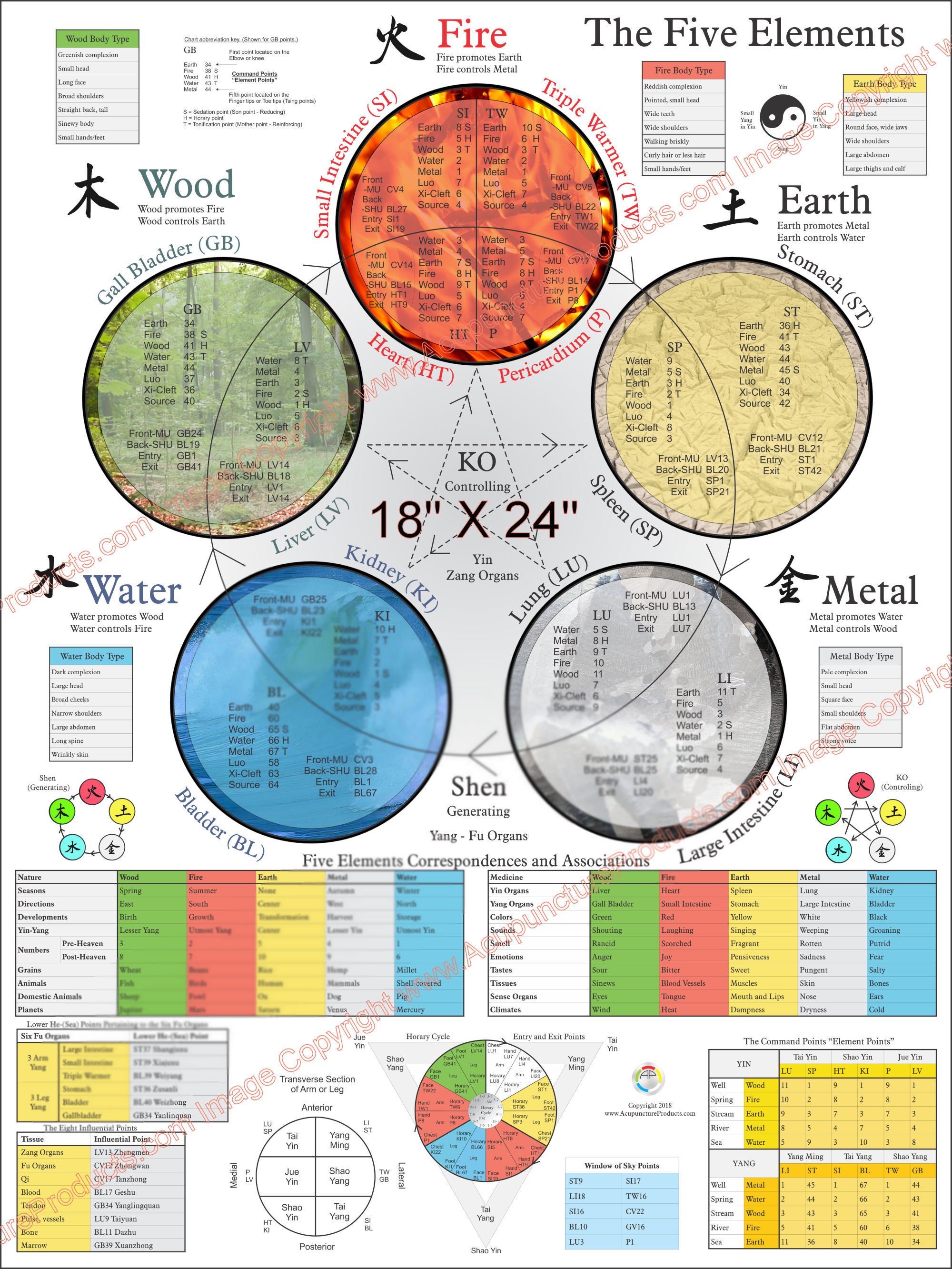 21+ Chinese Medicine Food Chart