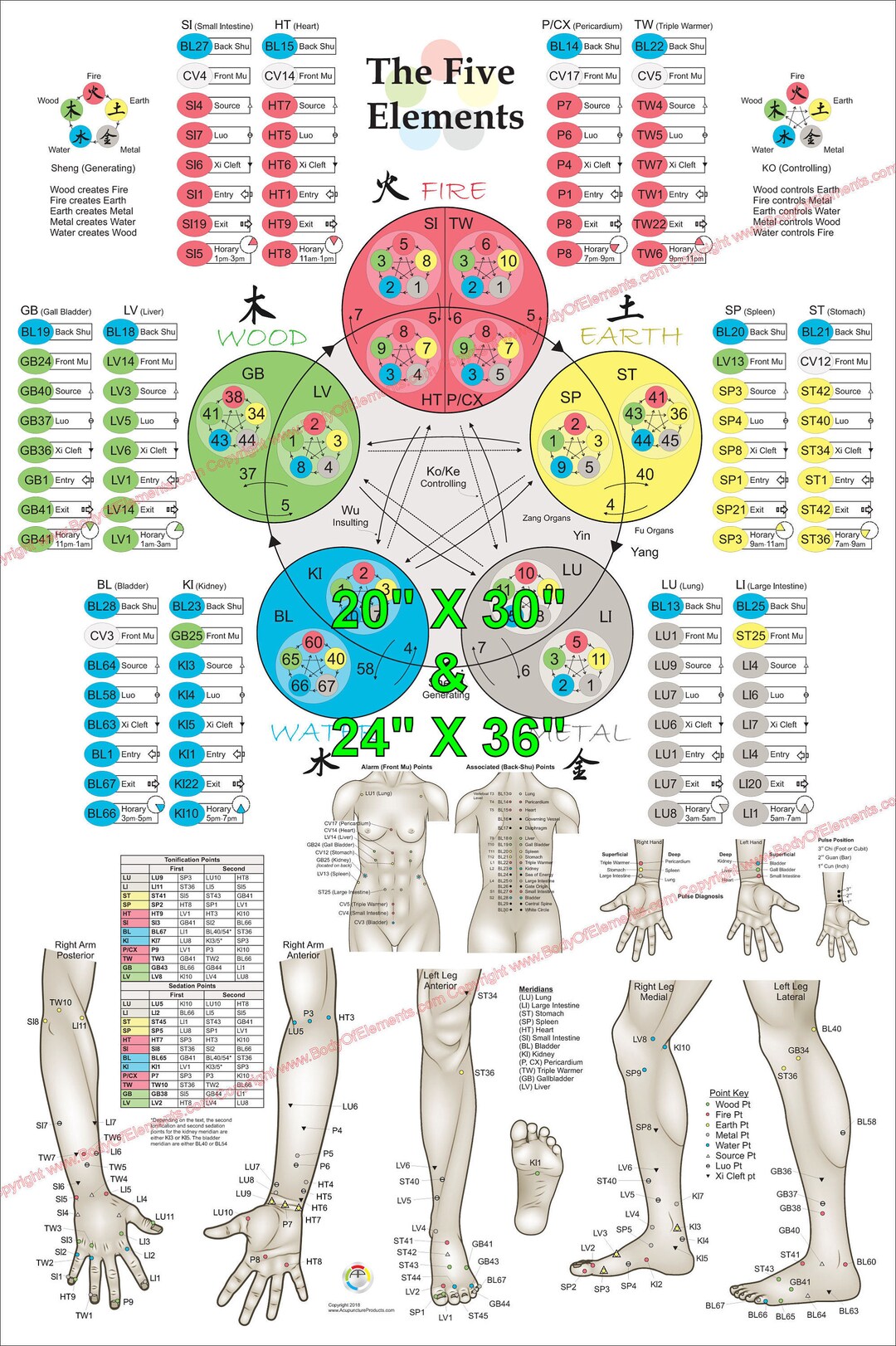 Acupuncture Energetics 東洋医学 【公式通販】