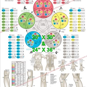 Fünf Elemente Akupunktur Poster 20 "X 30" oder 24 "X 36" Kommando und Tonisierungspunkte für Angewandte Kinesiologie Diagramm laminiert oder Papier