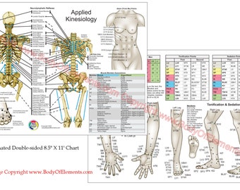 Applied Kinesiology Flowchart Manual 上下巻 Applied Kinesiology Flowchart Manual