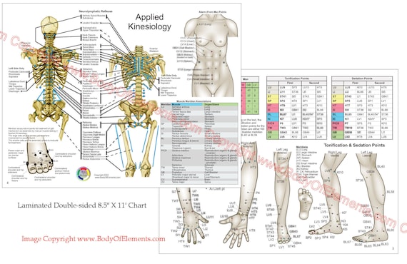 Applied Kinesiology Chart Set 8.5