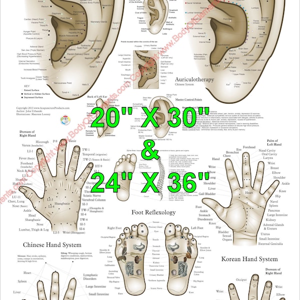 Akupunktur Ohr Hand Fuß Mikrosystem Poster Akupressur Massage Reflexologie Chart Papier oder laminiert. 20 "X 30" & 24" X 36"